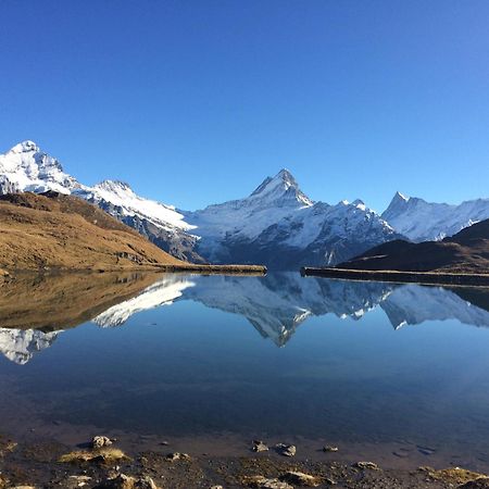 Chalet Verbrunnenhaus Grindelwald Zewnętrze zdjęcie