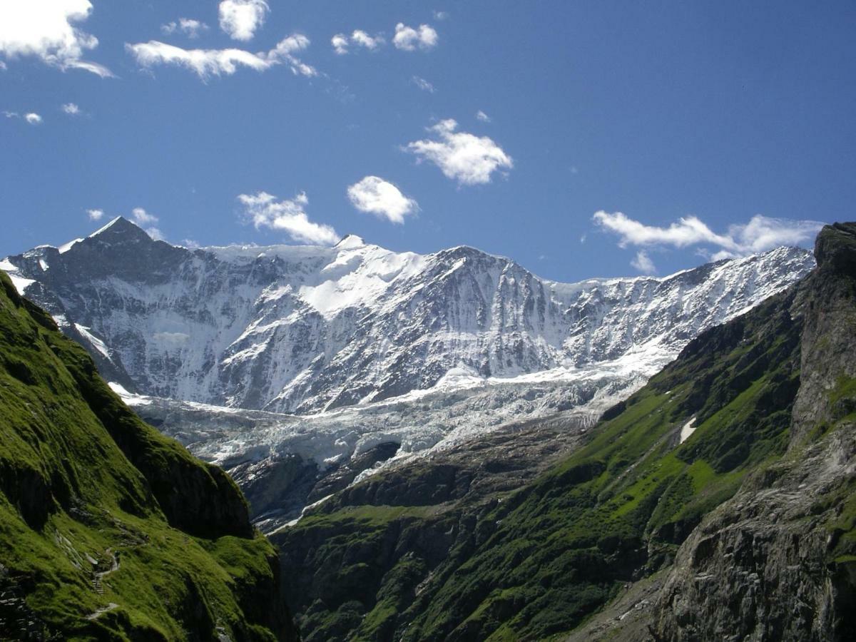 Chalet Verbrunnenhaus Grindelwald Zewnętrze zdjęcie