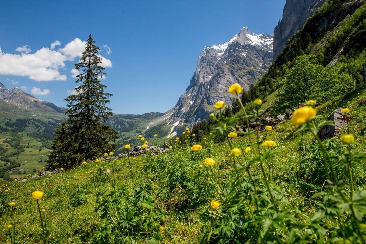 Chalet Verbrunnenhaus Grindelwald Zewnętrze zdjęcie